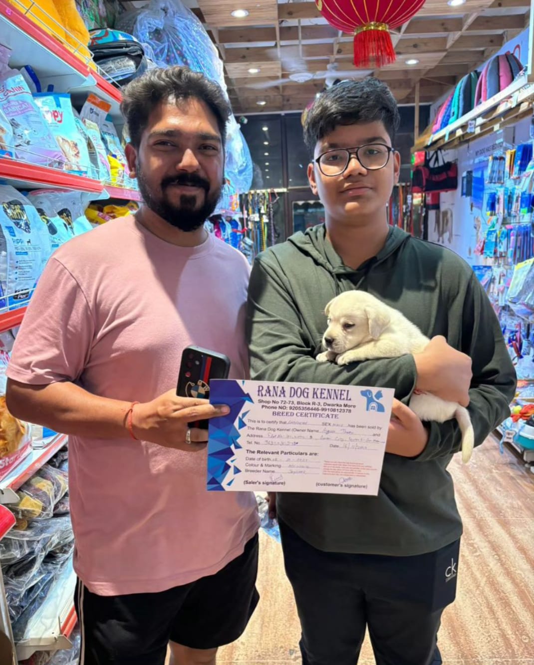 Vet certified puppy